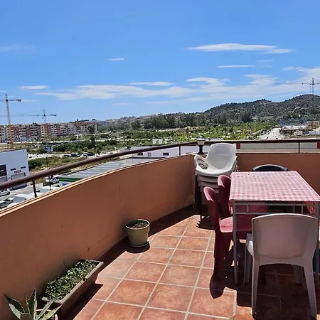 Girasoles * Fuengirola