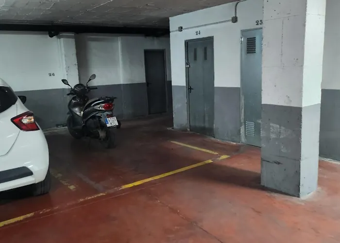 Girasoles * Fuengirola