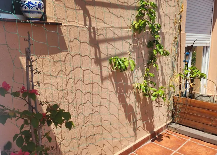 Apartment Girasoles *