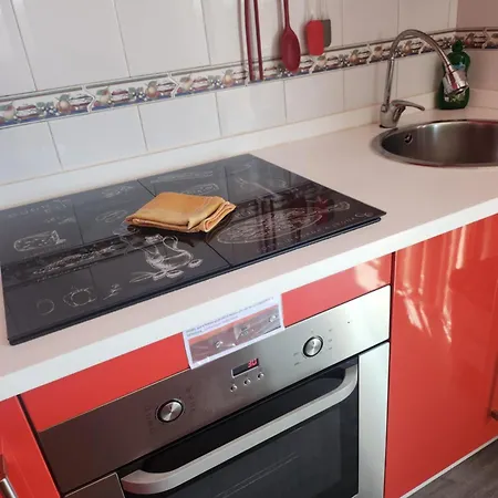 Girasoles Fuengirola