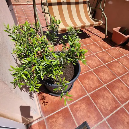 Girasoles Apartment Fuengirola